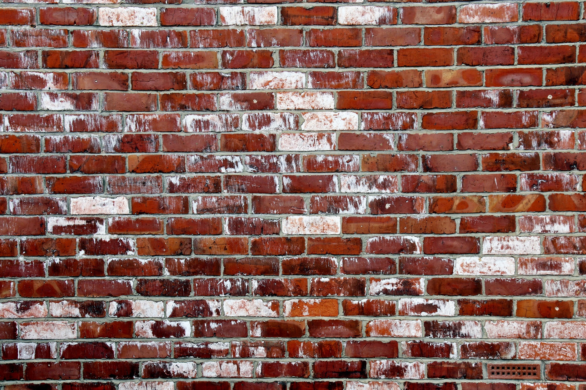 wall brick no graffitti free photo