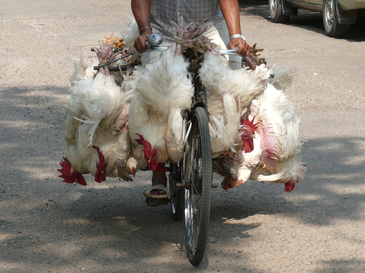 myanmar yangon market free photo