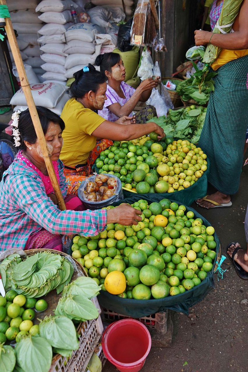 myanmar  asia  burma free photo