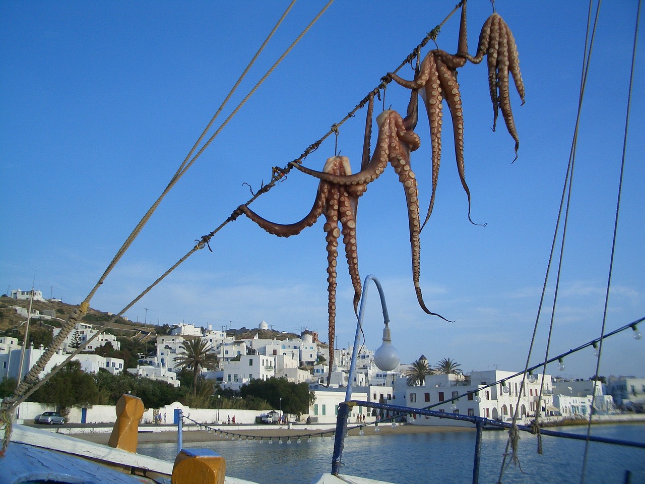 mykonos greece harbor free photo