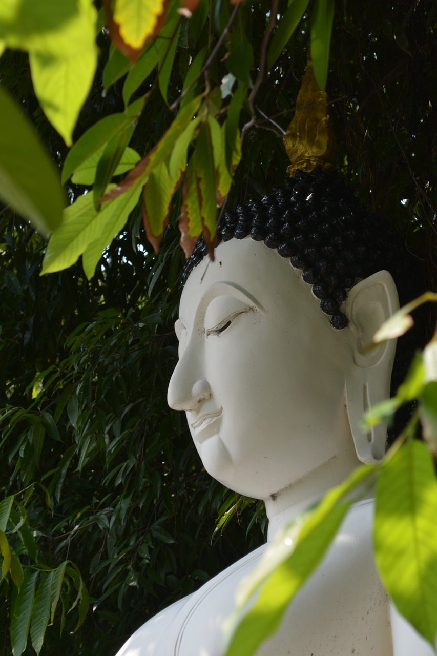 religion buddha statue free photo