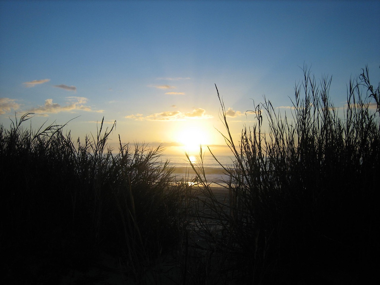 myrtle beach sunrise free photo