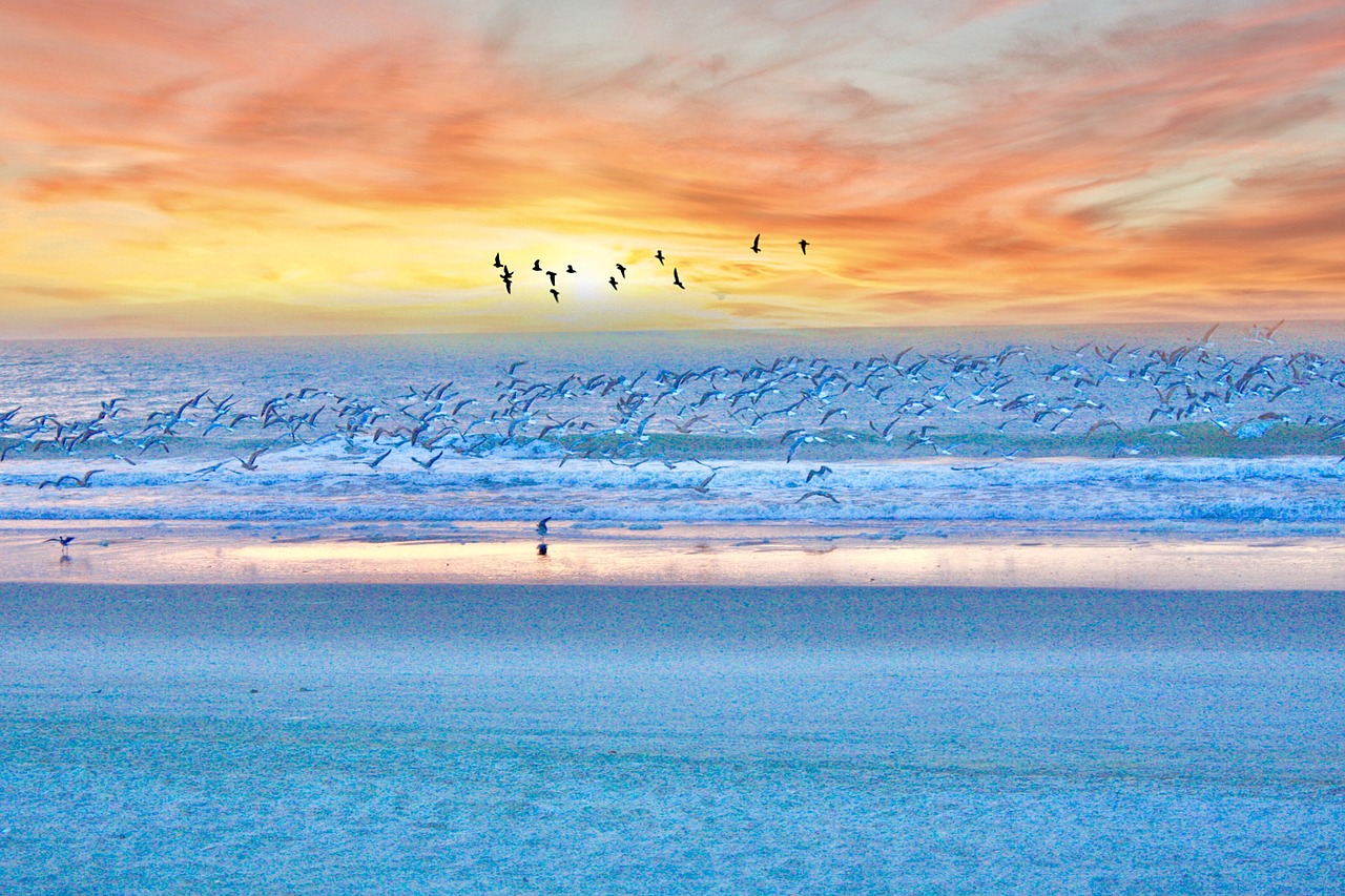 myrtle beach  sunrise  beach free photo