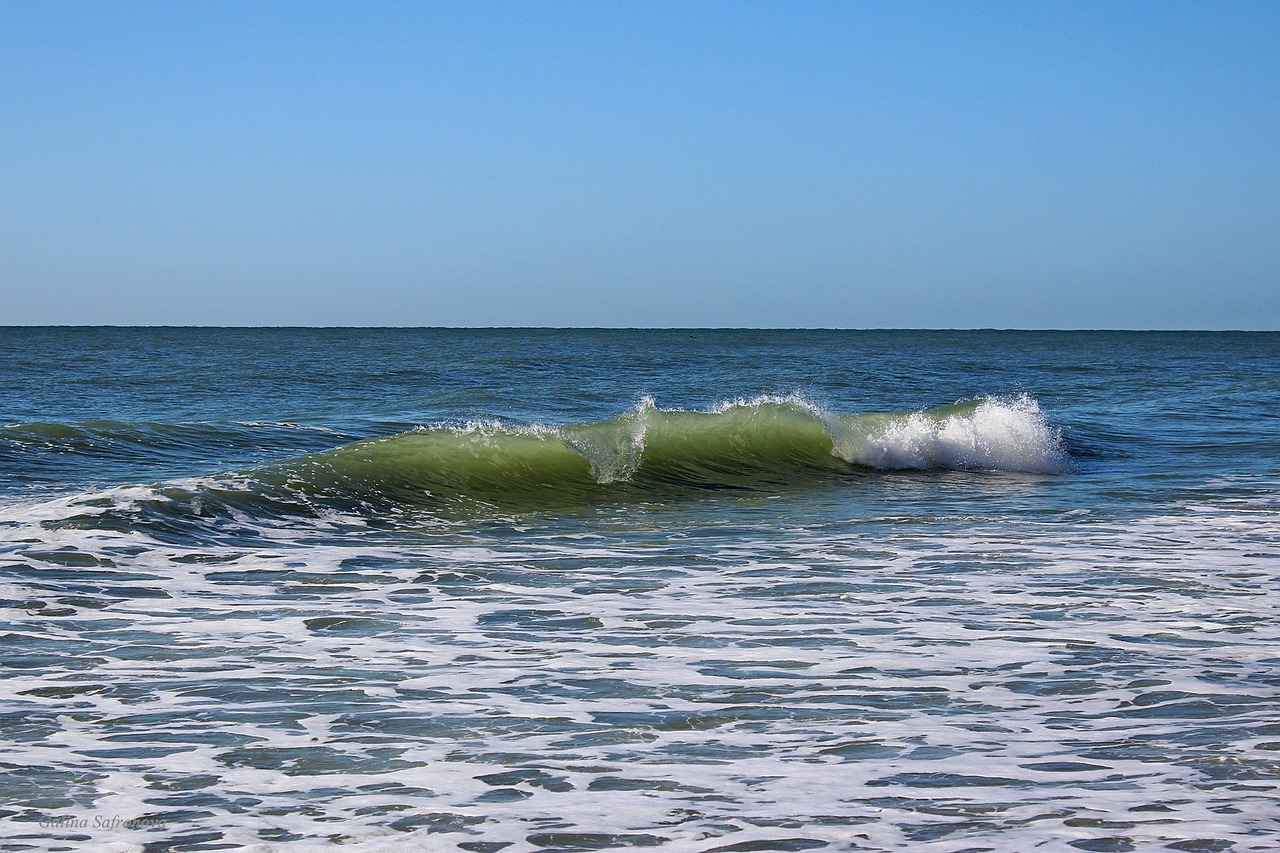 myrtle beach south carolina ocean free photo