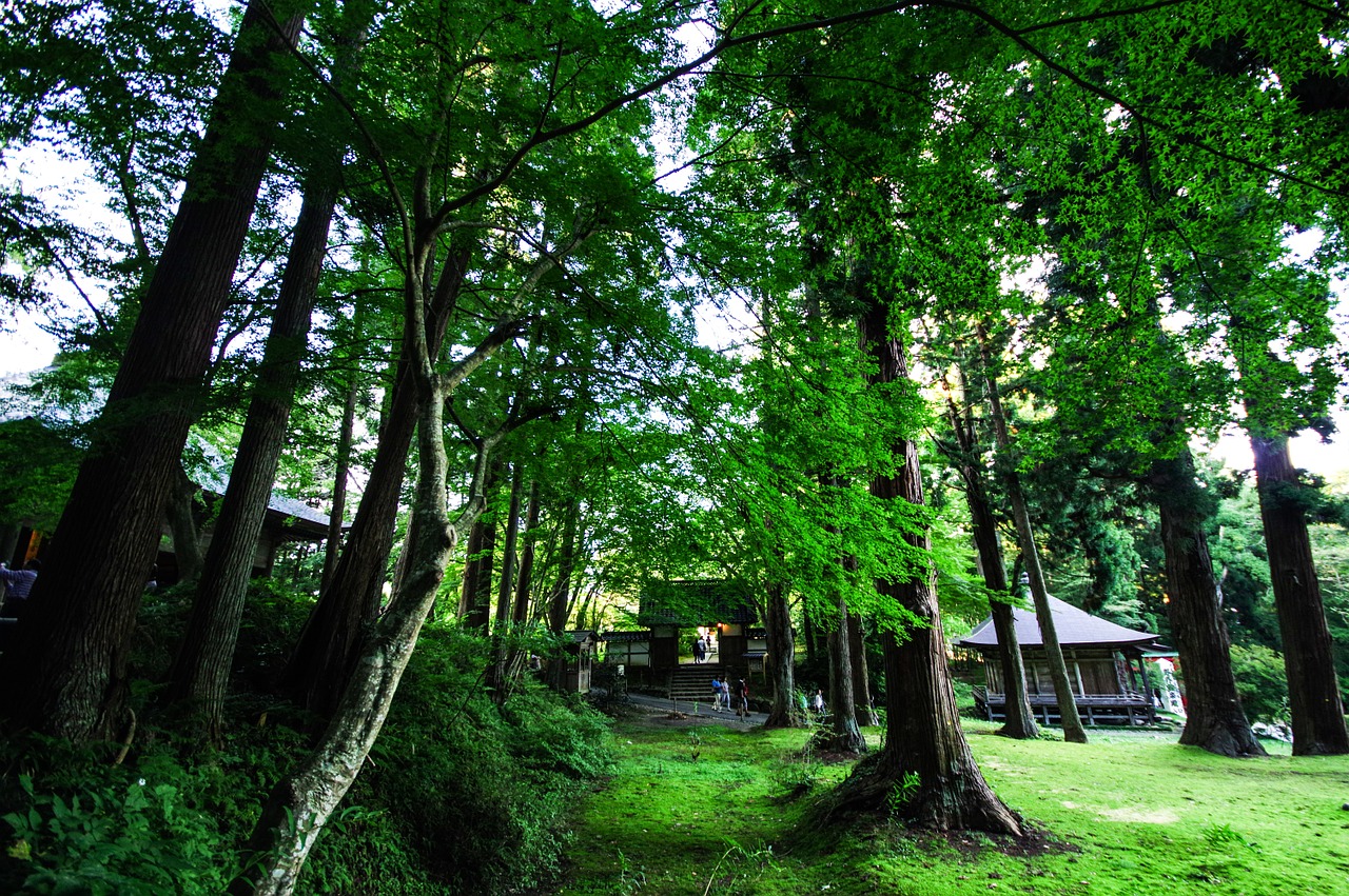 mysterious mountain japan free photo