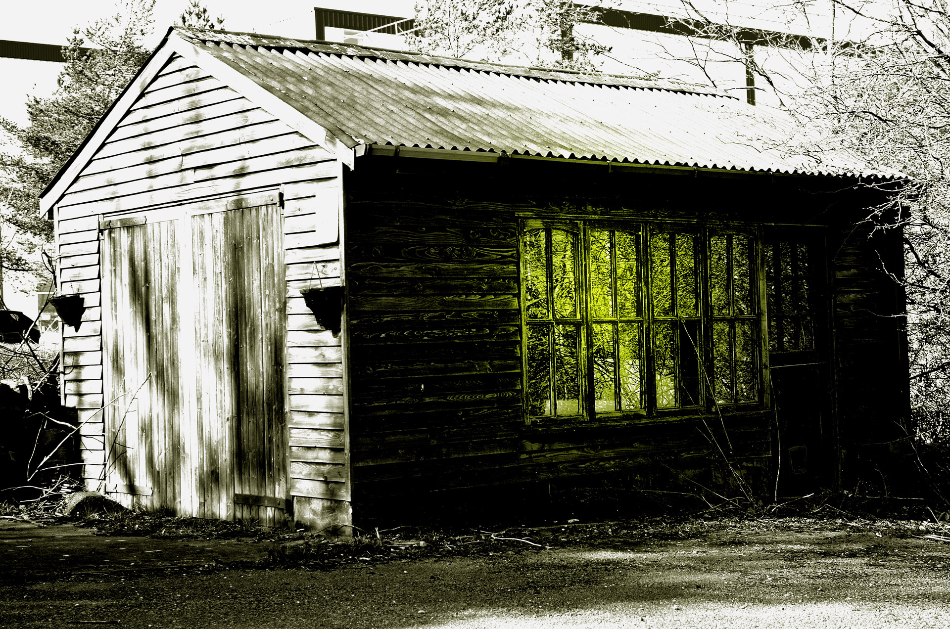 mysterious old shed free photo