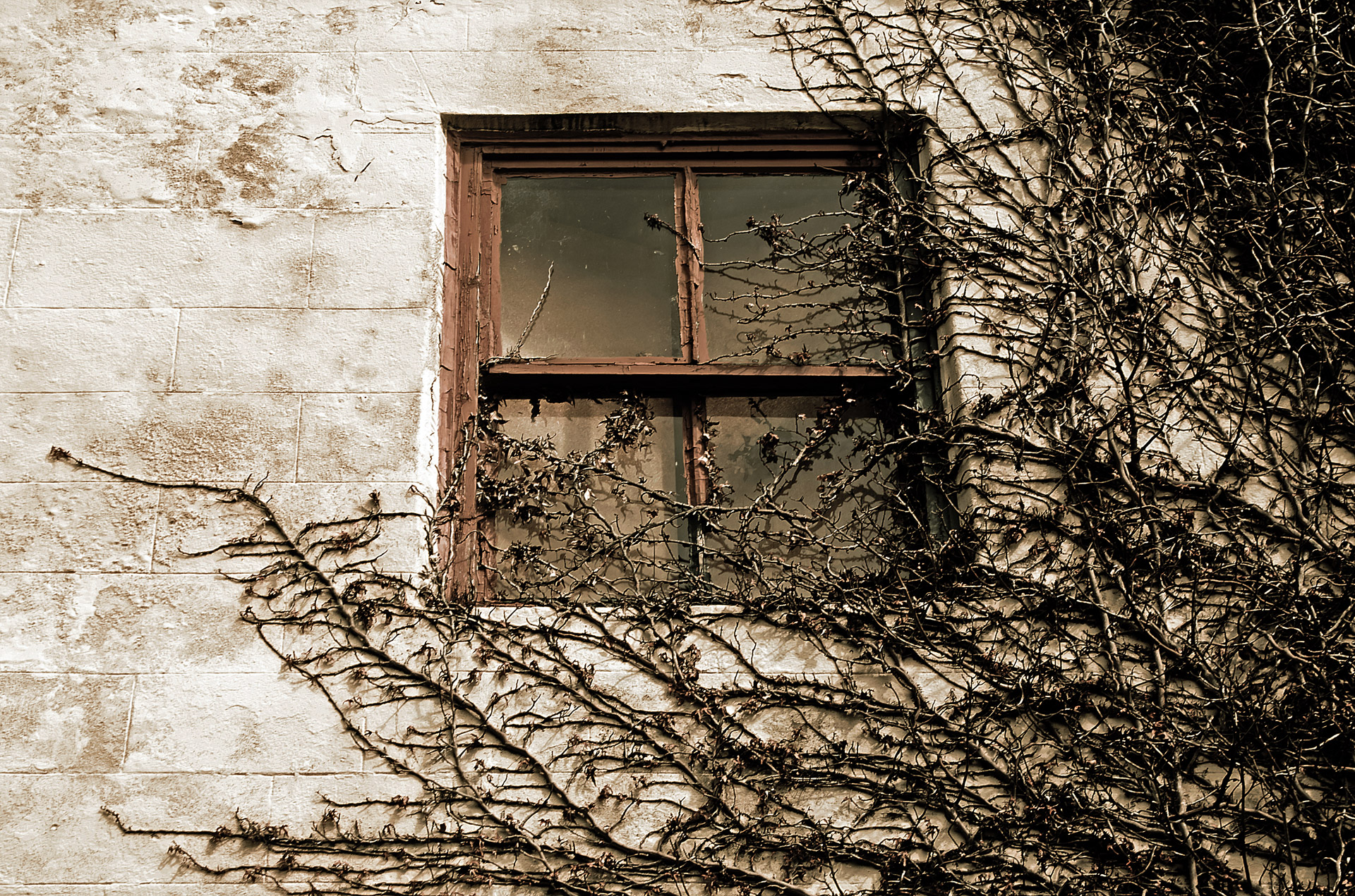 mysterious window old free photo
