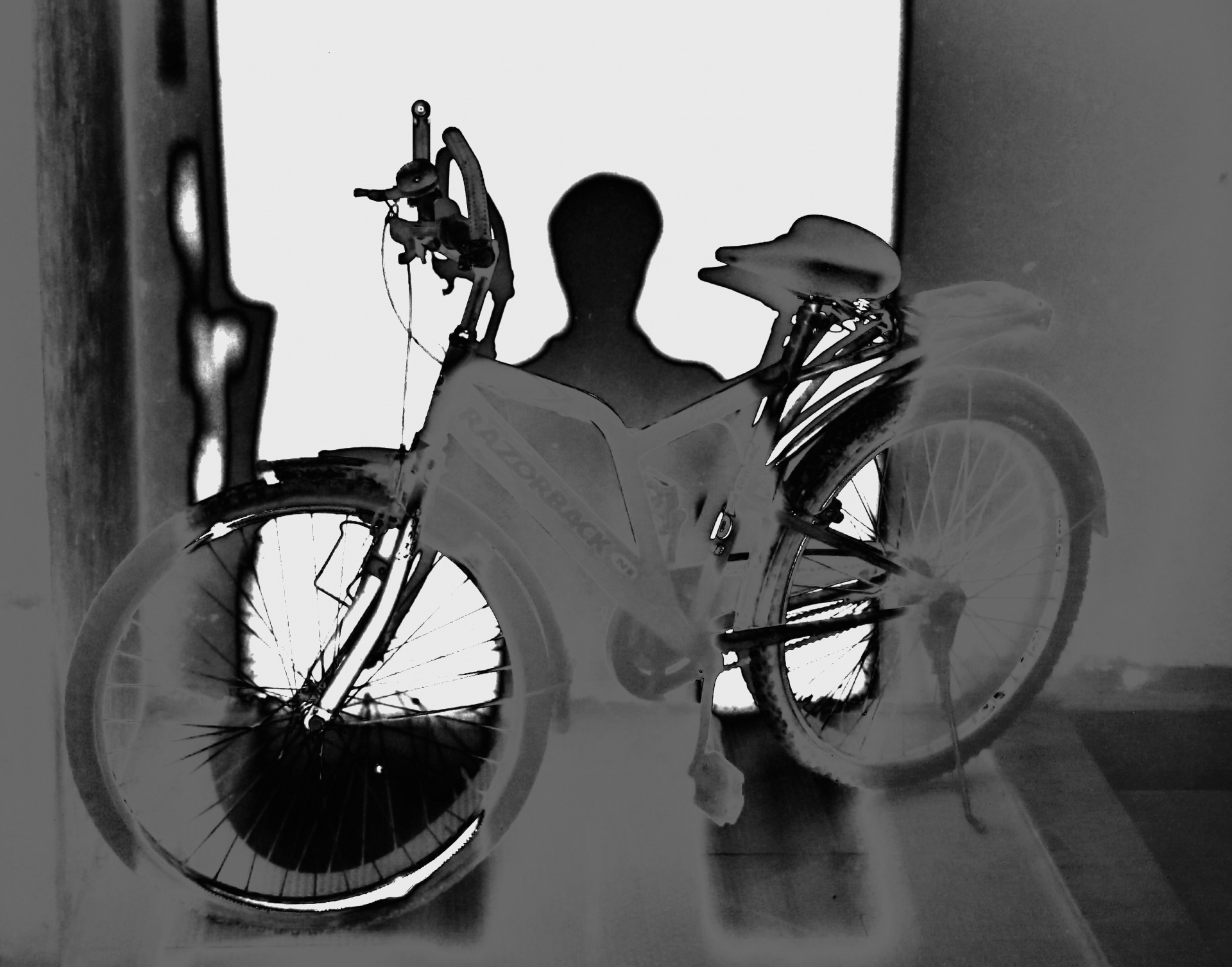 shadow bicycle effect free photo