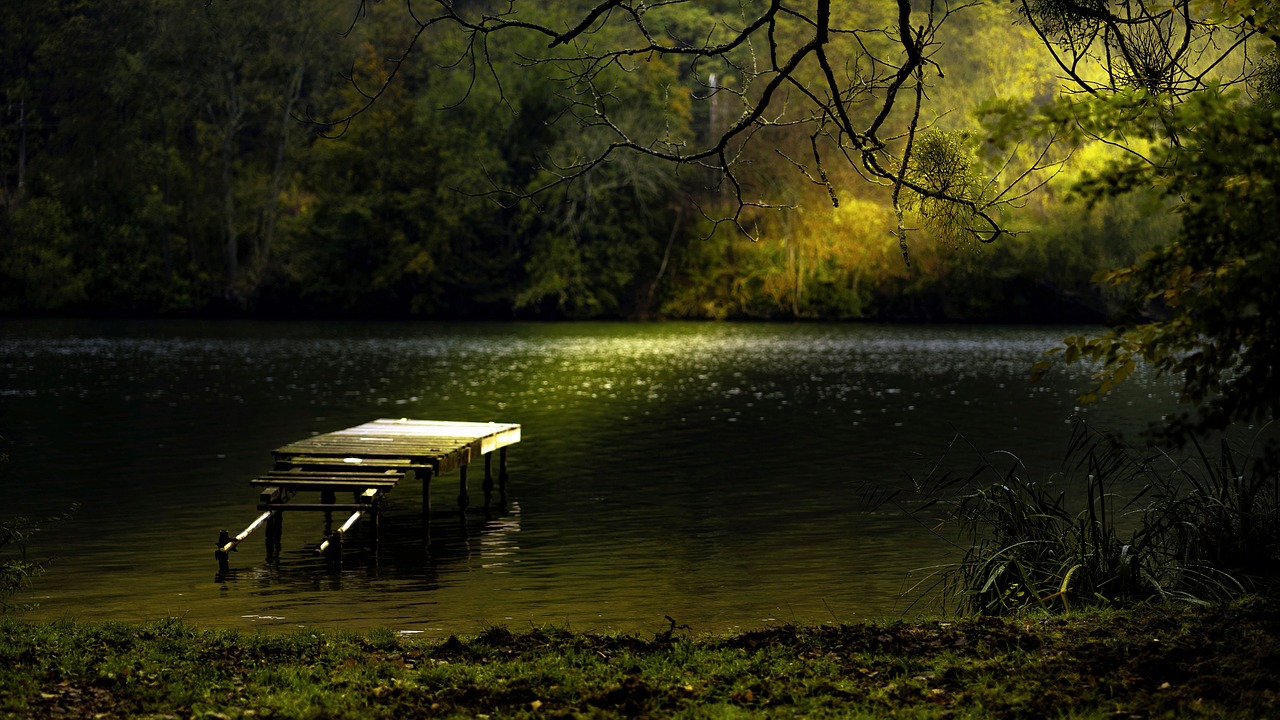 mystic  lake  mood free photo