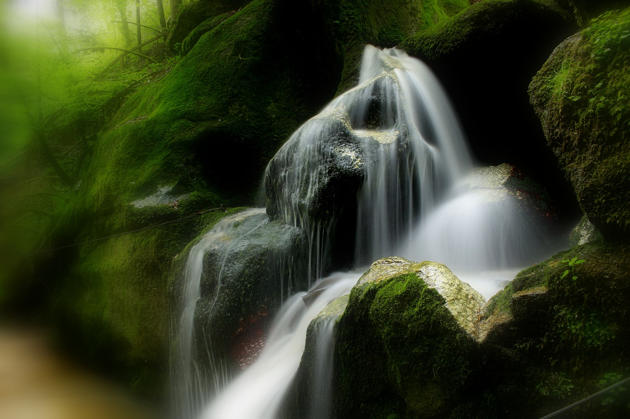 mystical  water  bach free photo