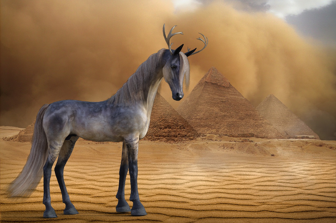 myth  horse  desert free photo