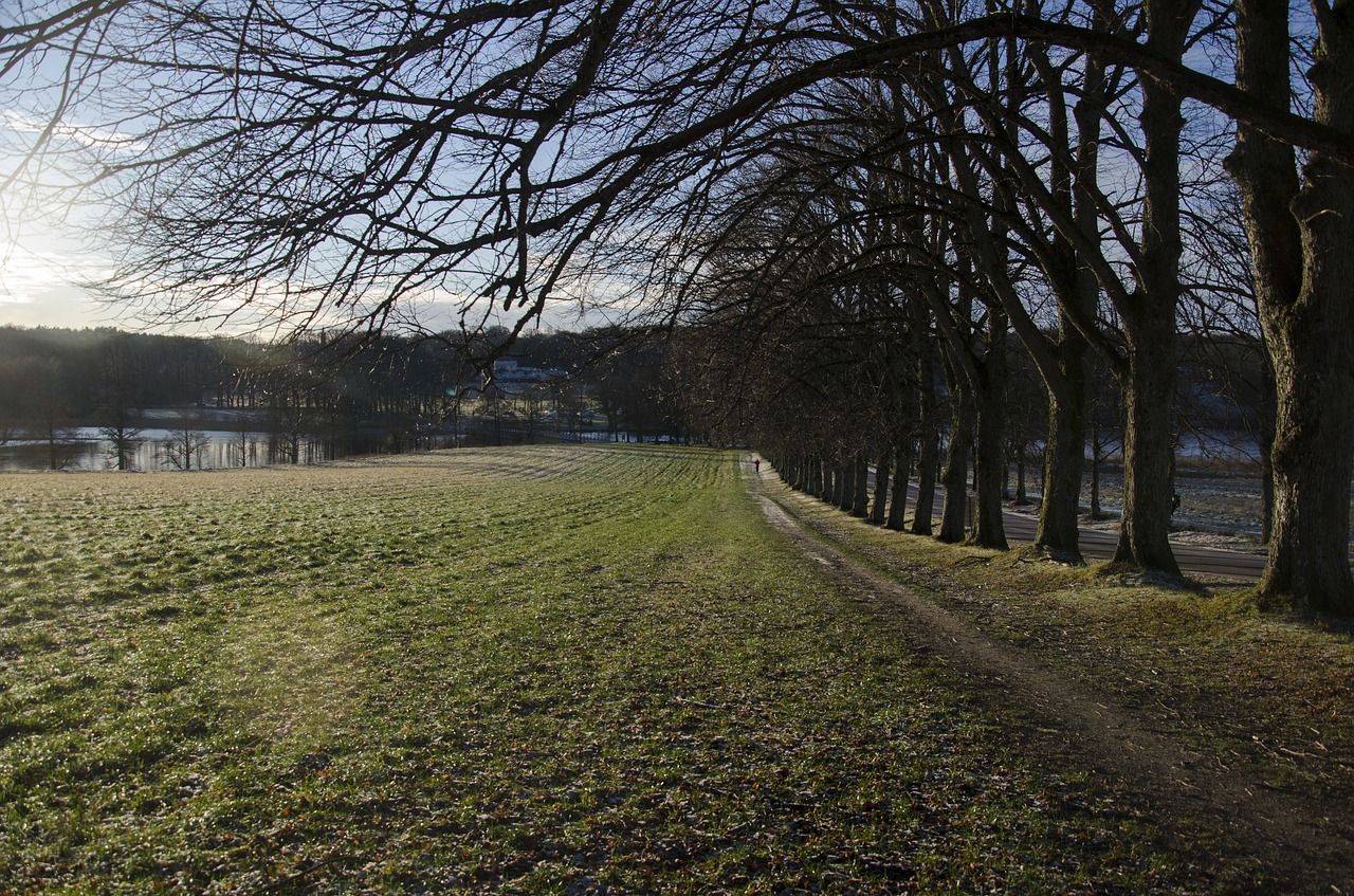 nääs castle  lerum  sweden free photo