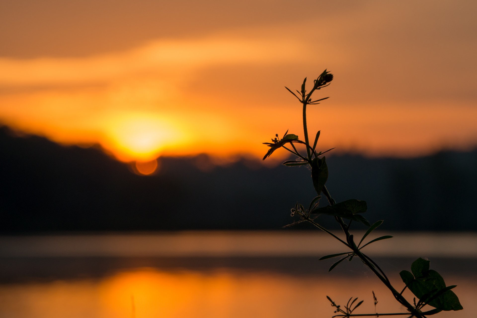 sunrise orange clouds free photo