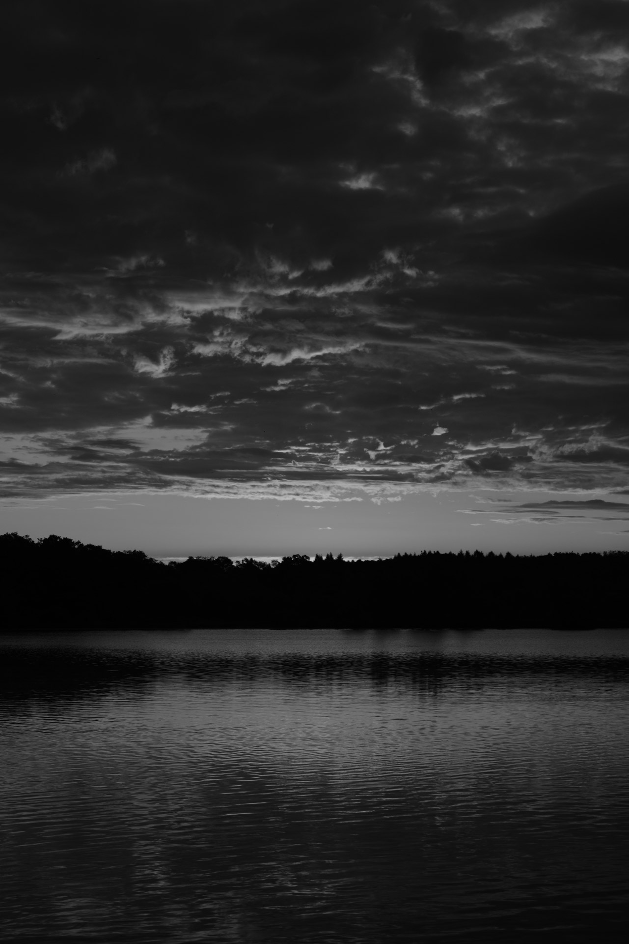 pond black white morning free photo