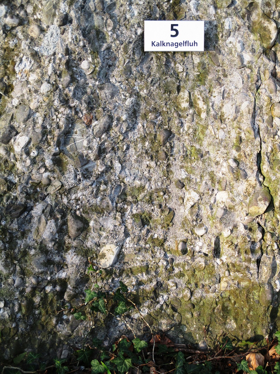 nagelfluh rock limestone conglomerate free photo