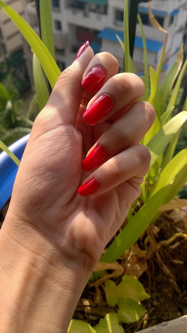 nail paint red free photo