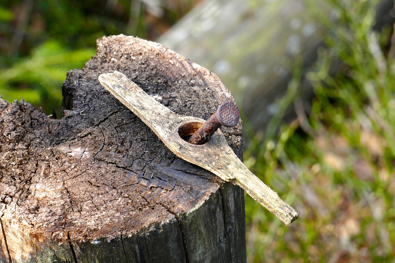 nail wood nature free photo