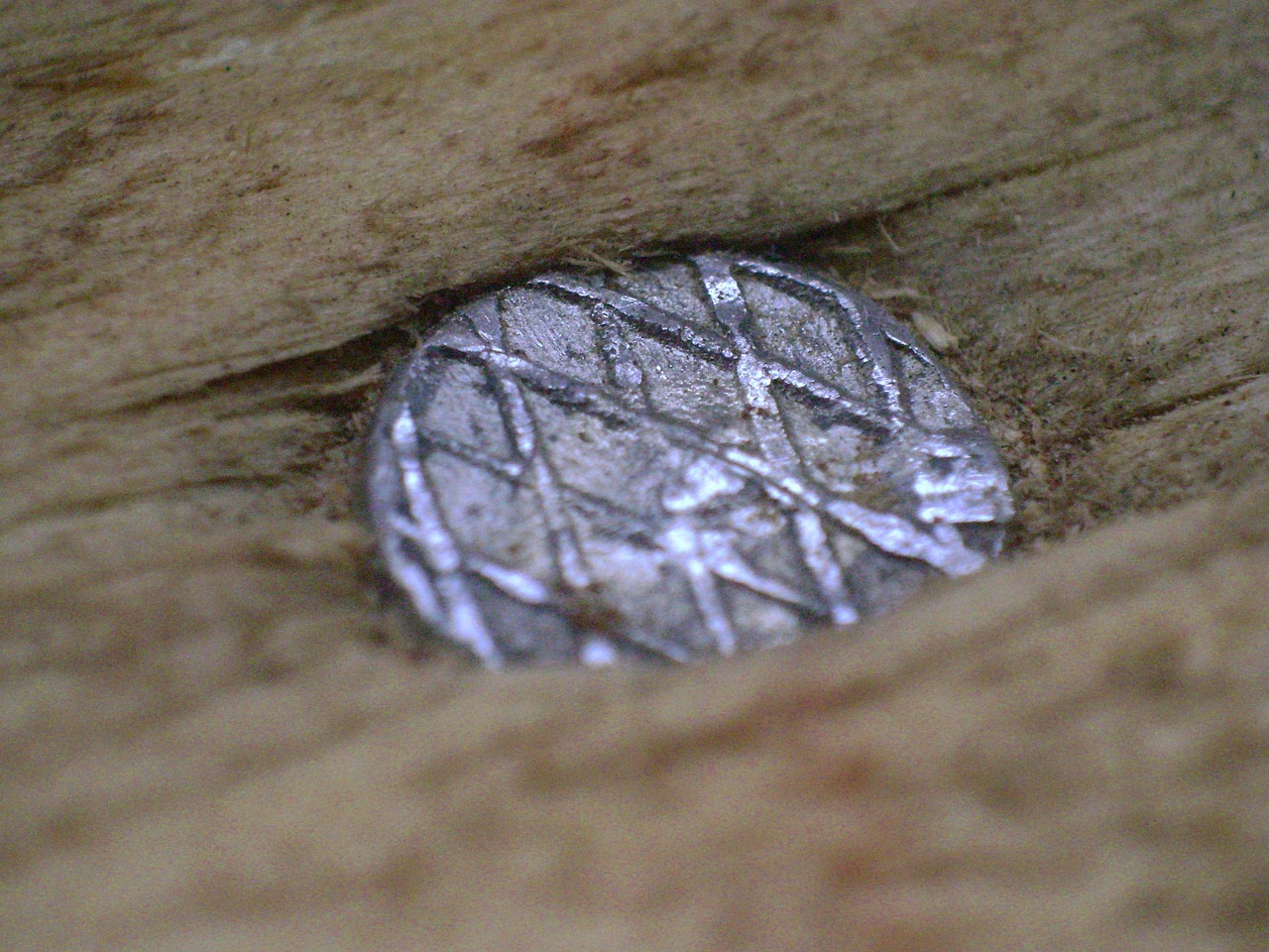 nail macro metal free photo