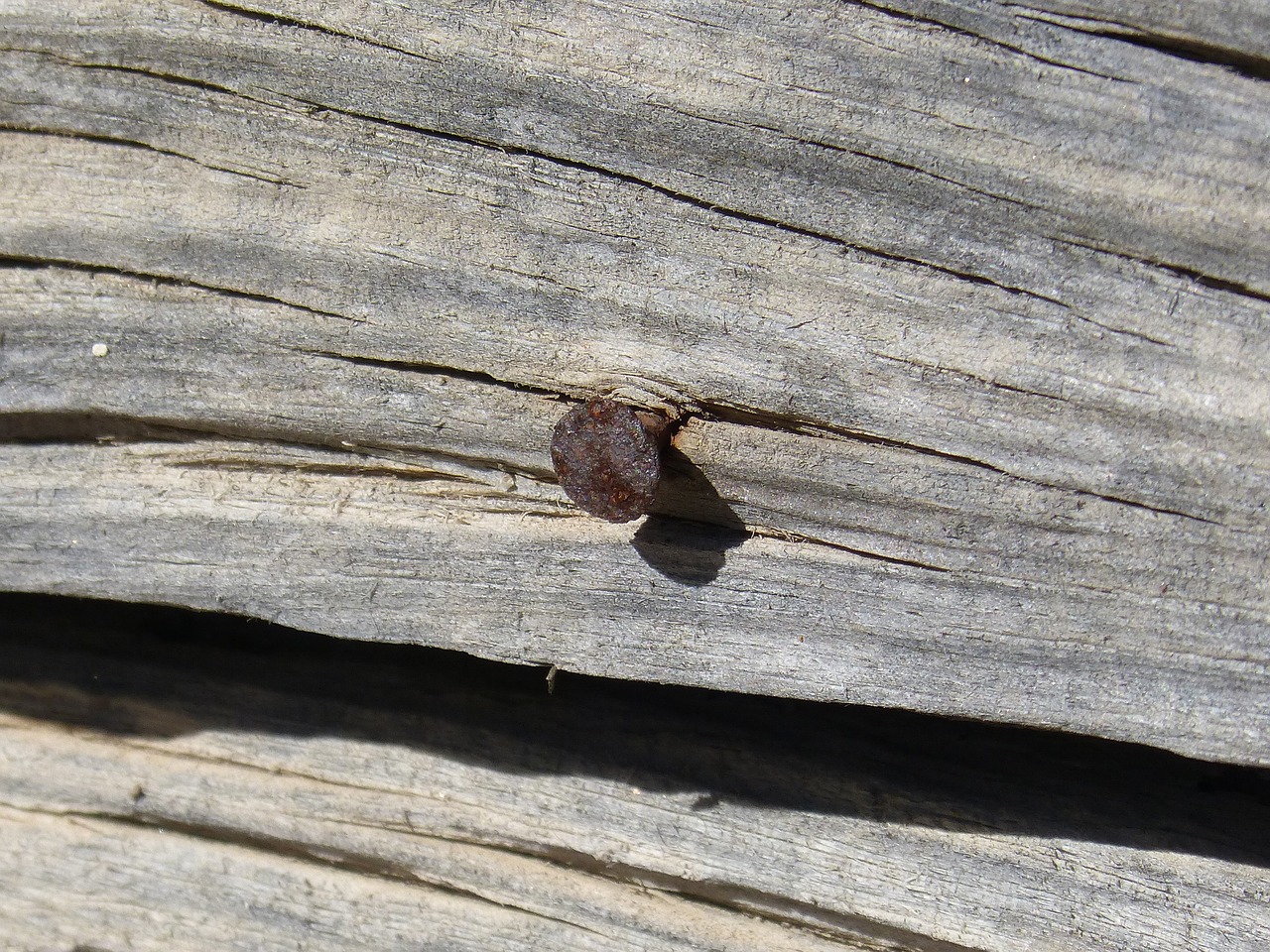 nail old wood rusty free photo