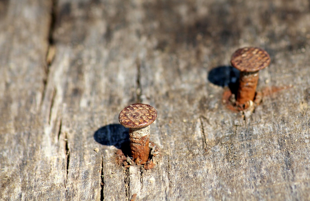 nail  pounded  wood free photo