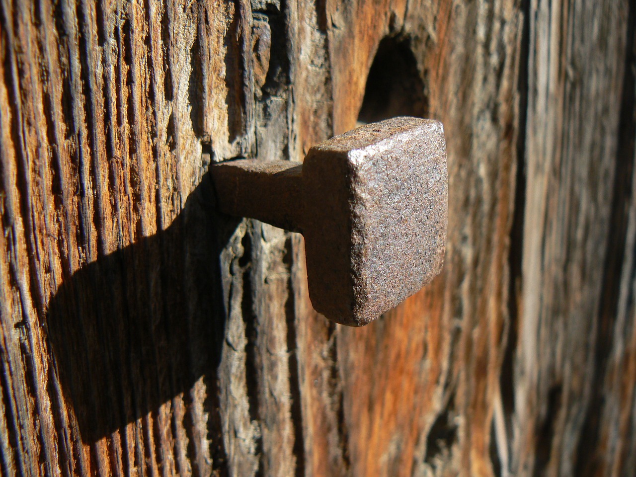 nail iron wood free photo
