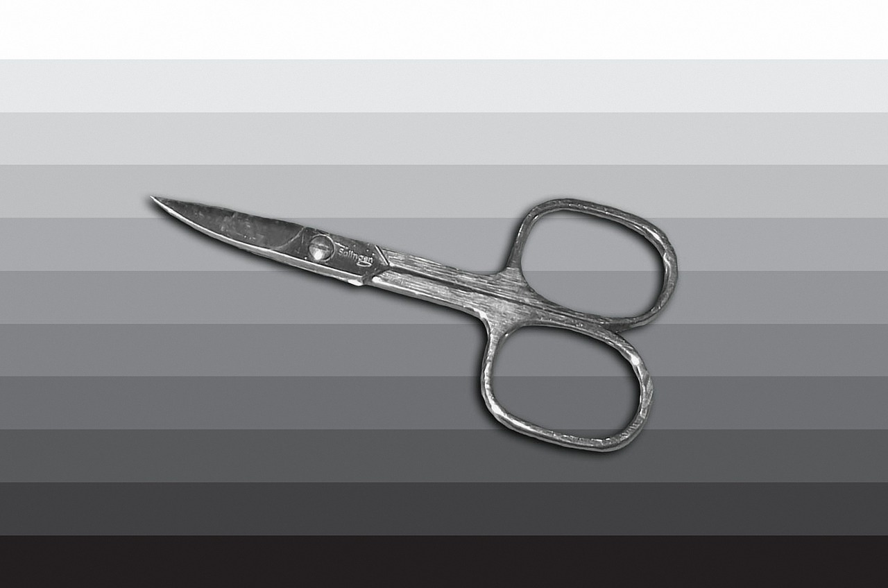 nail scissors scissors tool free photo