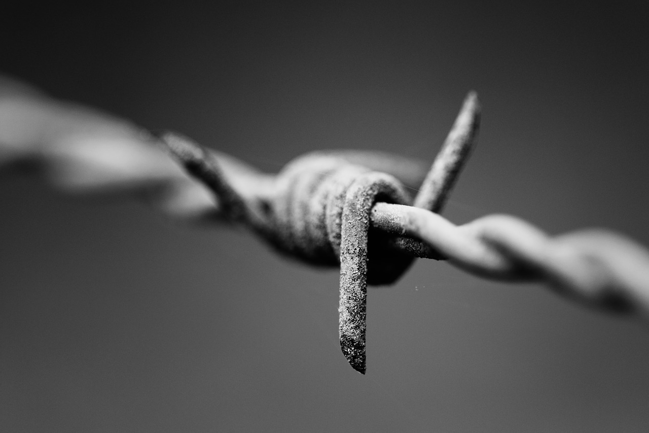 nails barbed defence free photo