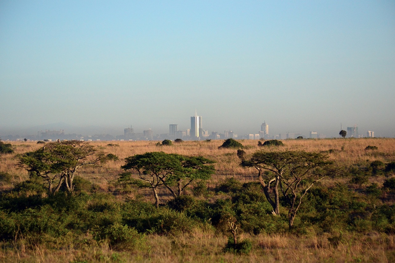 nairobi kenya africa cityscape free photo