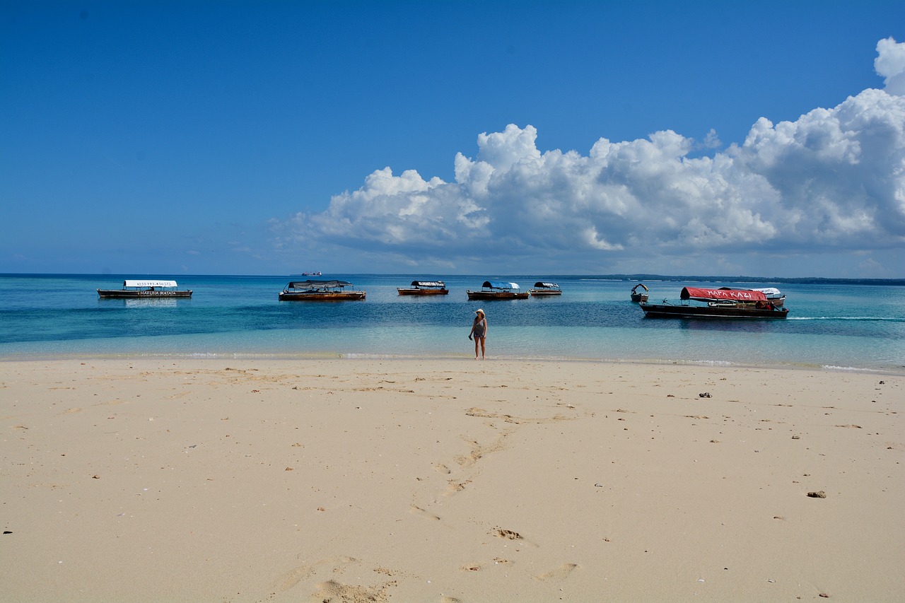 nakupenda beach zanzibar free photo