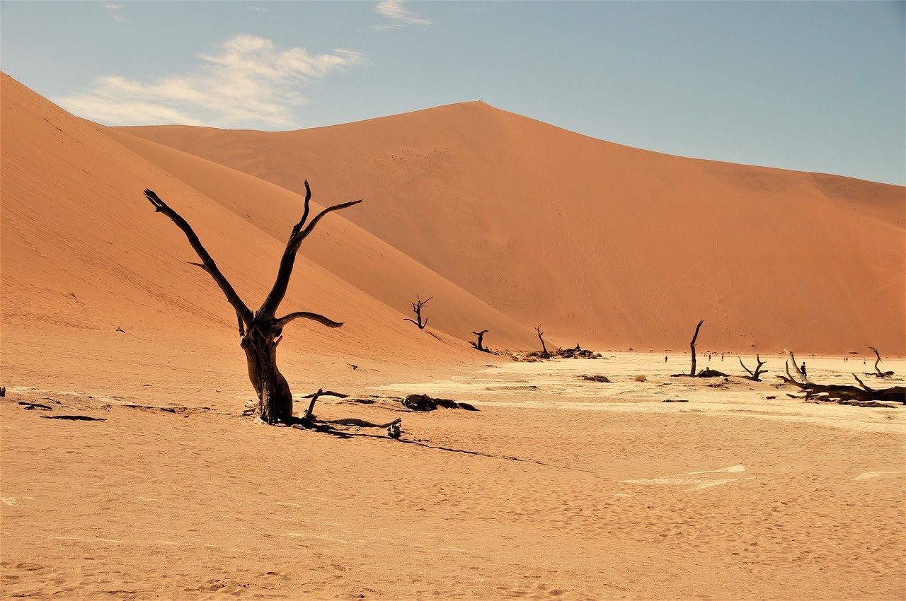 namib desert namibia desert free photo