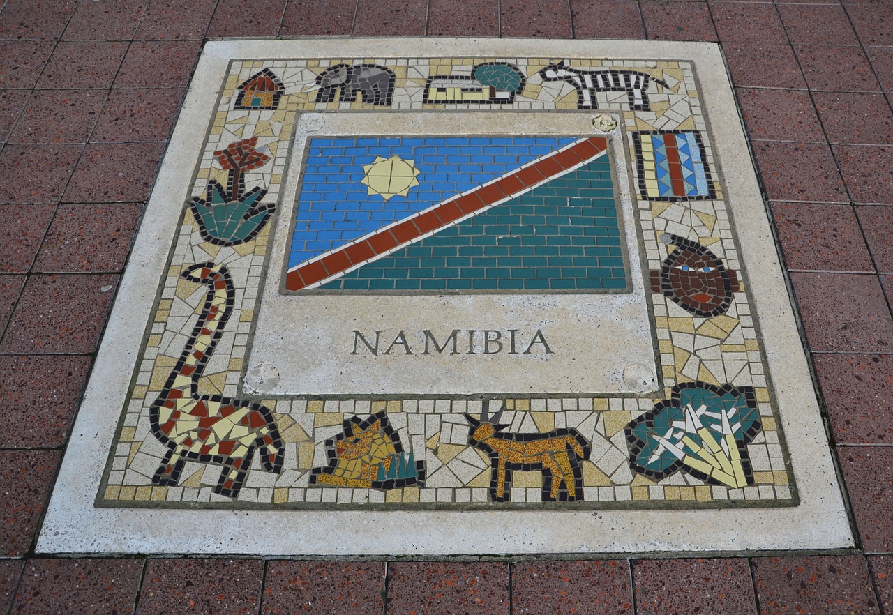 namibia team emblem flag free photo