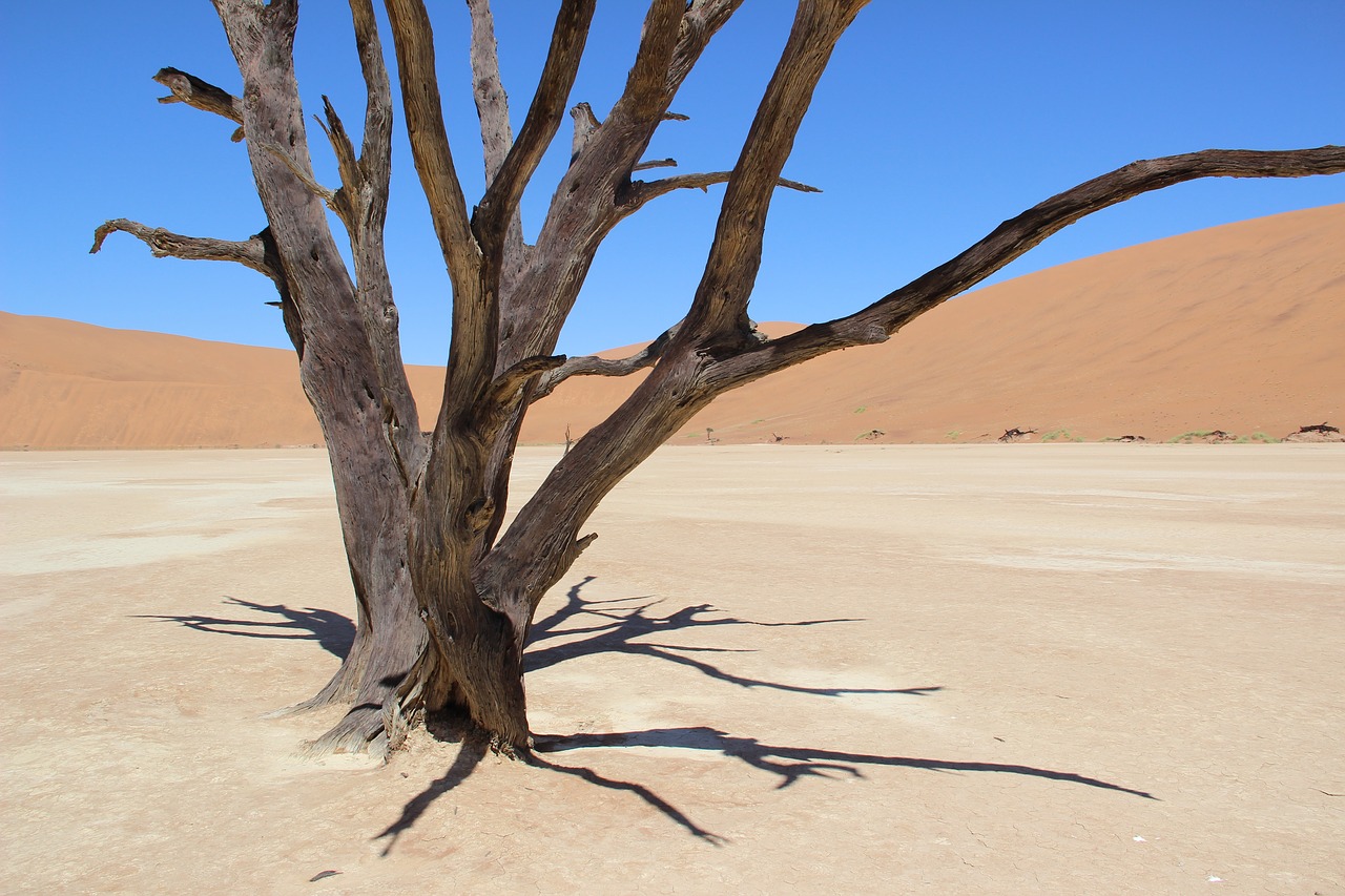 namibia desert sand free photo