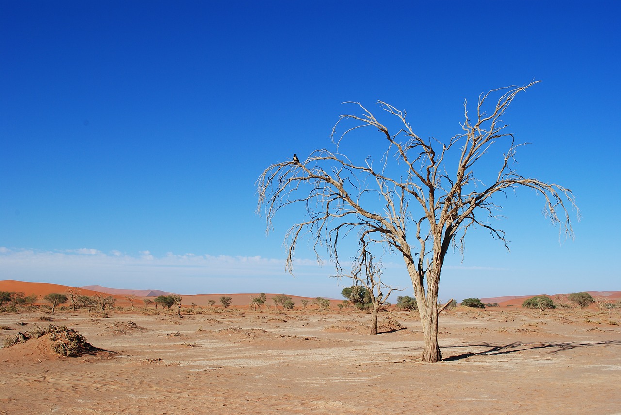 namibia africa sossusvlei free photo