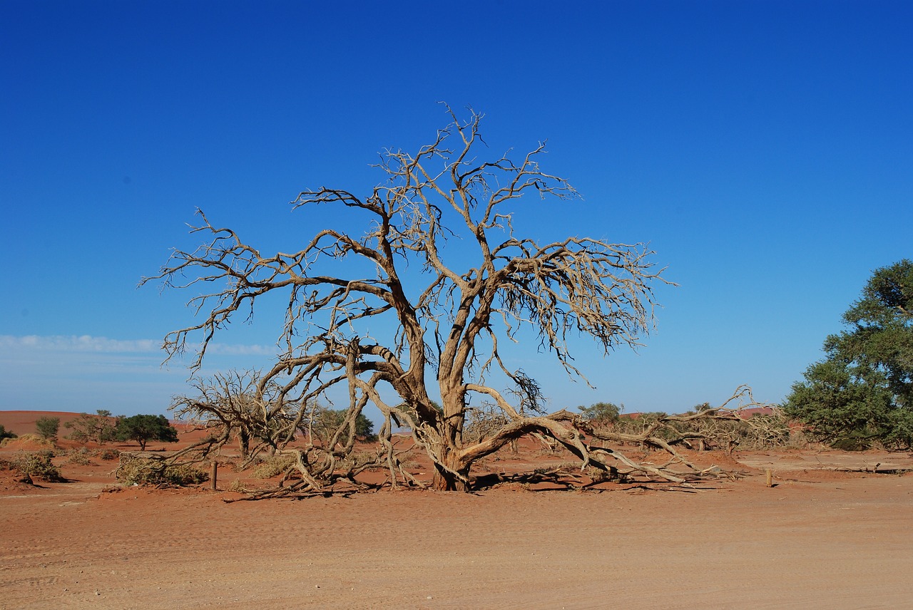 namibia africa sossusvlei free photo