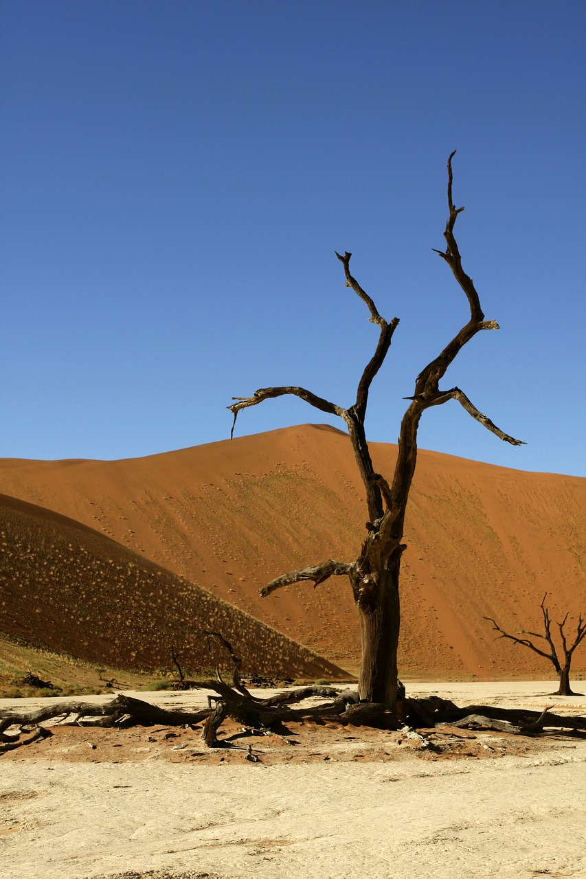 namibia sossusvlei dunes free photo