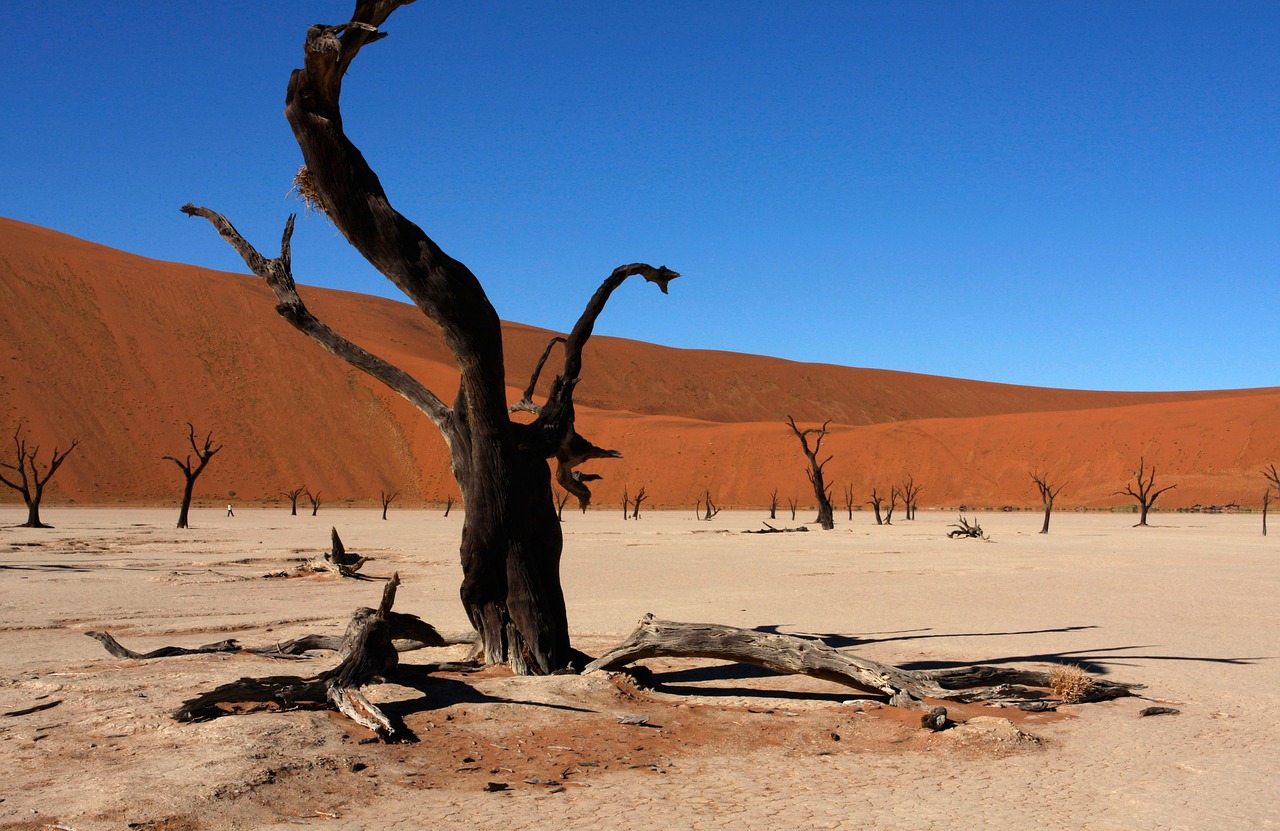 namibia sossusvlei dunes free photo