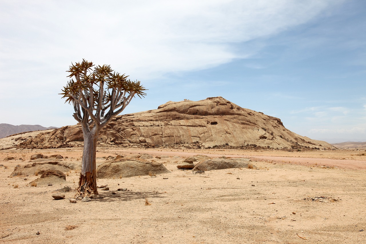 namibia africa drought free photo