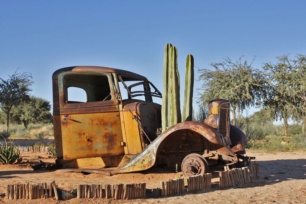 namibia old car cactus free photo