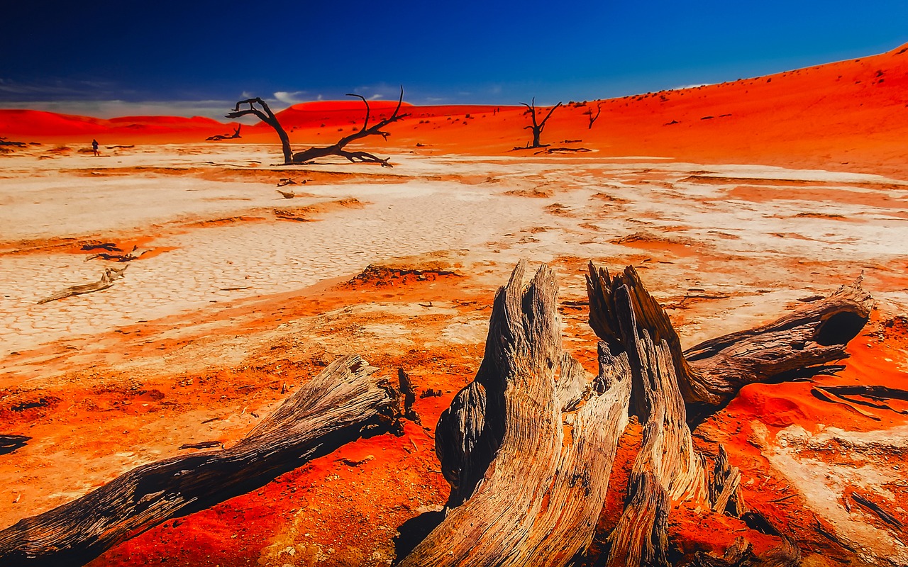 namibia africa landscape free photo