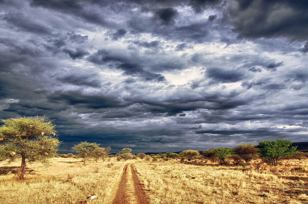 namibia sunset otjitongwe lodge free photo