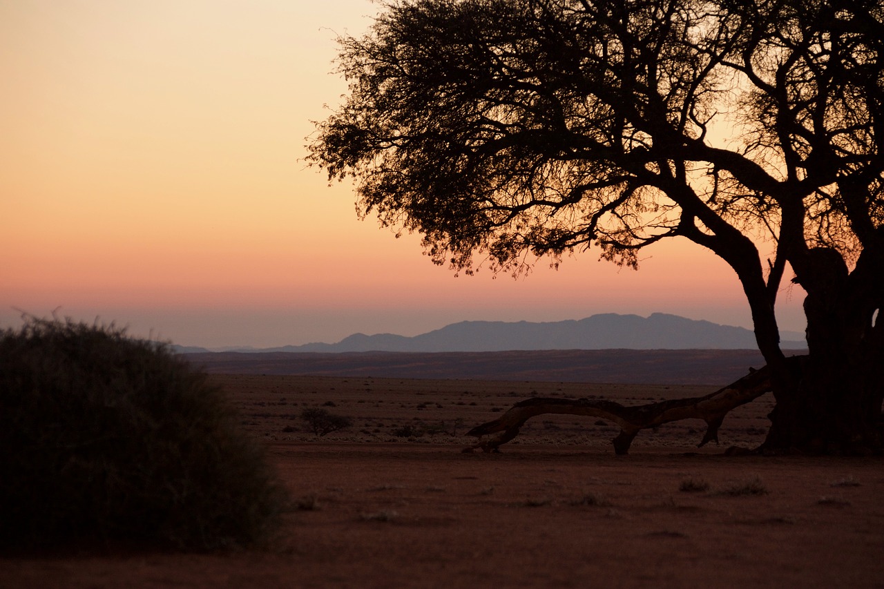 namibia sunset desert free photo