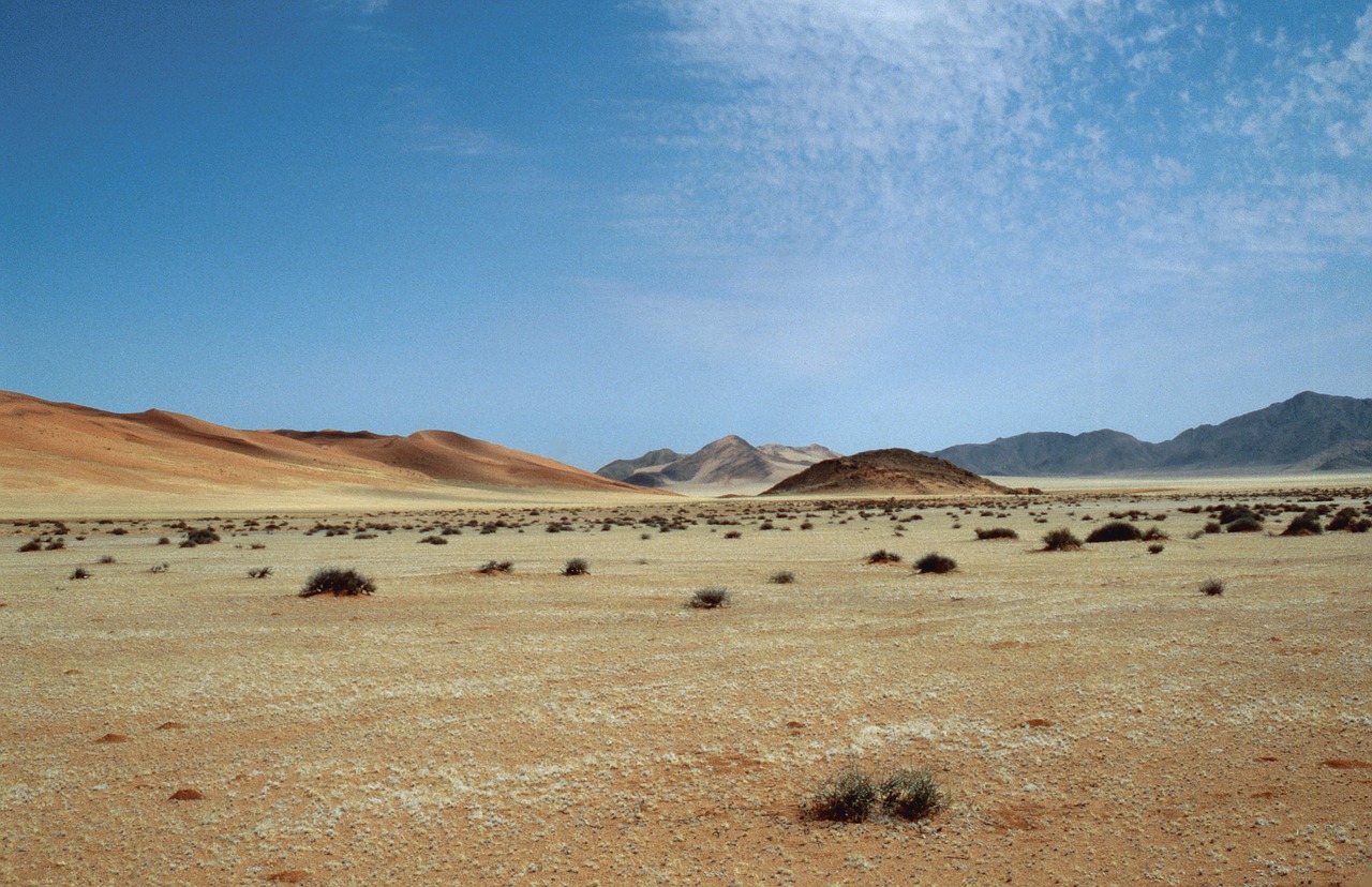 namibia  desert  dune free photo