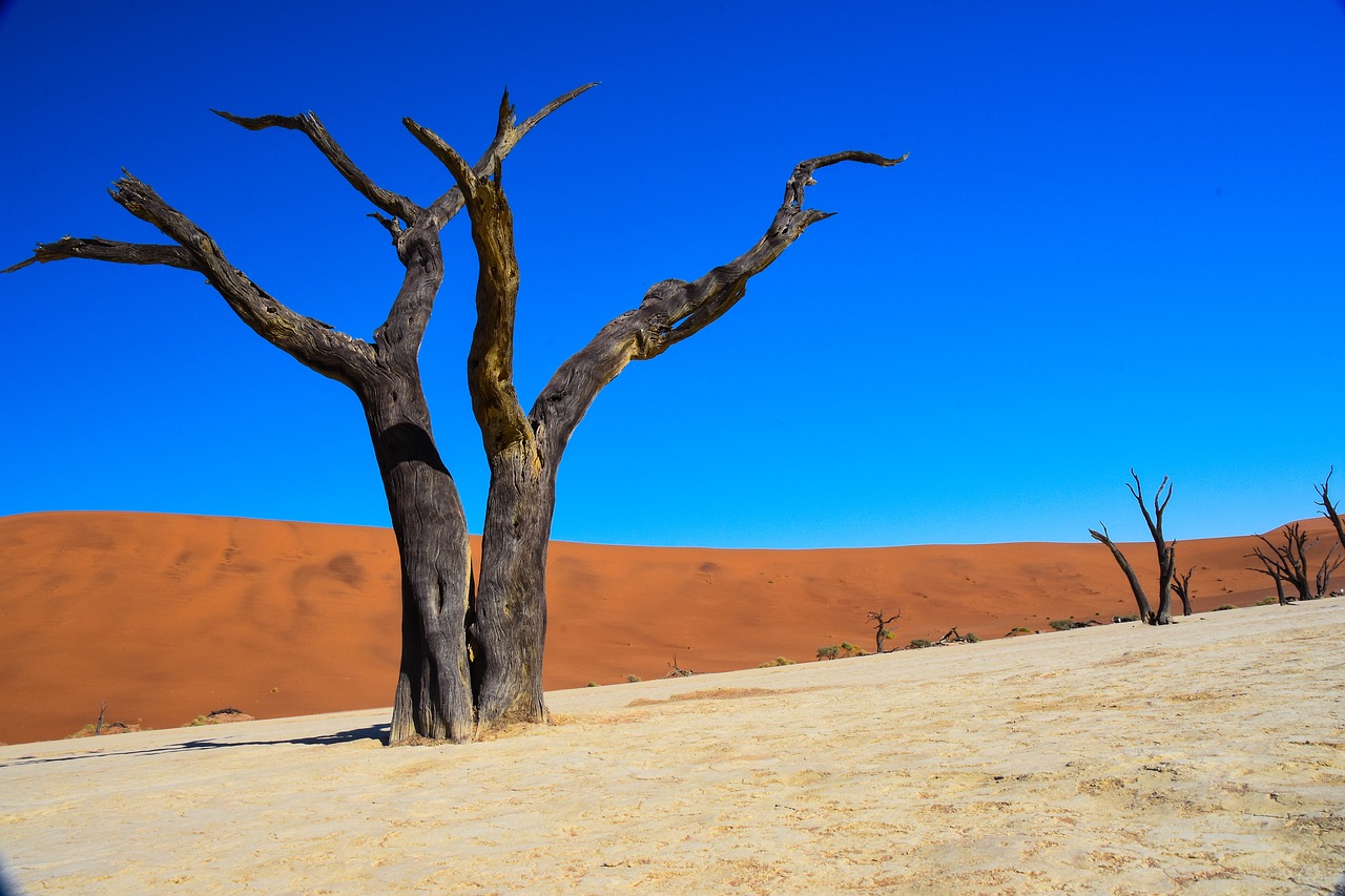 namibia  dead vlei  desert free photo
