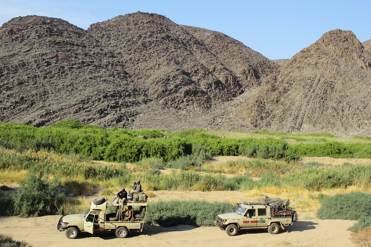 namibia  safari  africa free photo