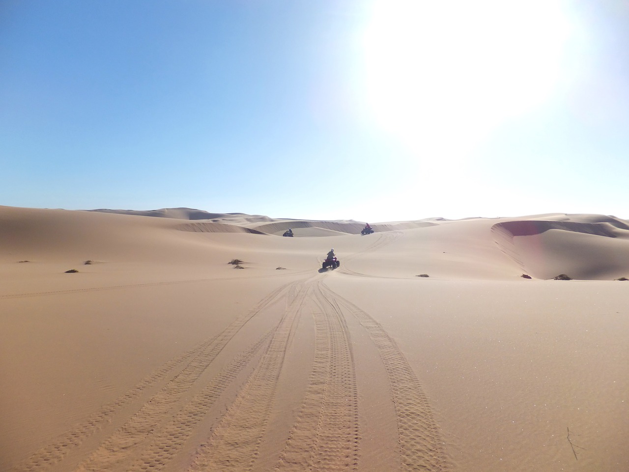 namibia africa desert free photo