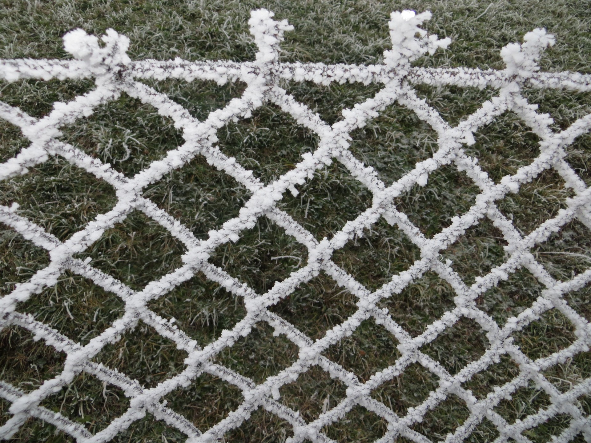 fence frost winter free photo