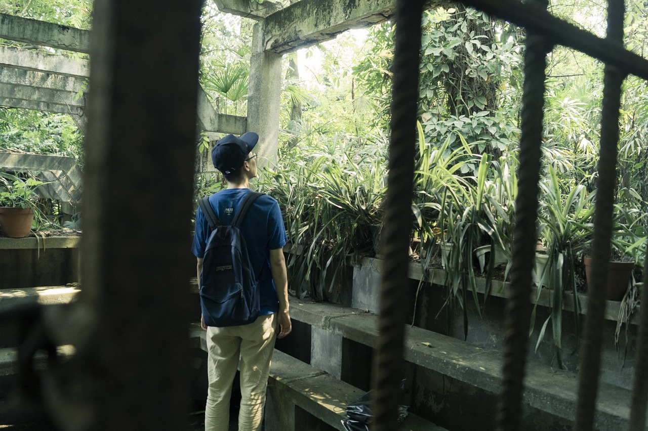 nanning people's park the self-timer free photo