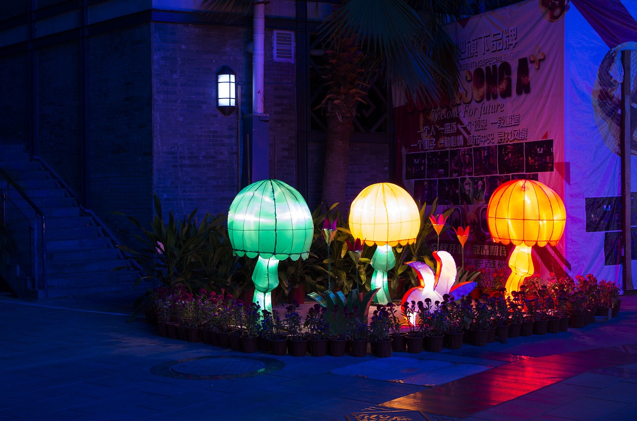 nanning folk lake bar street free photo