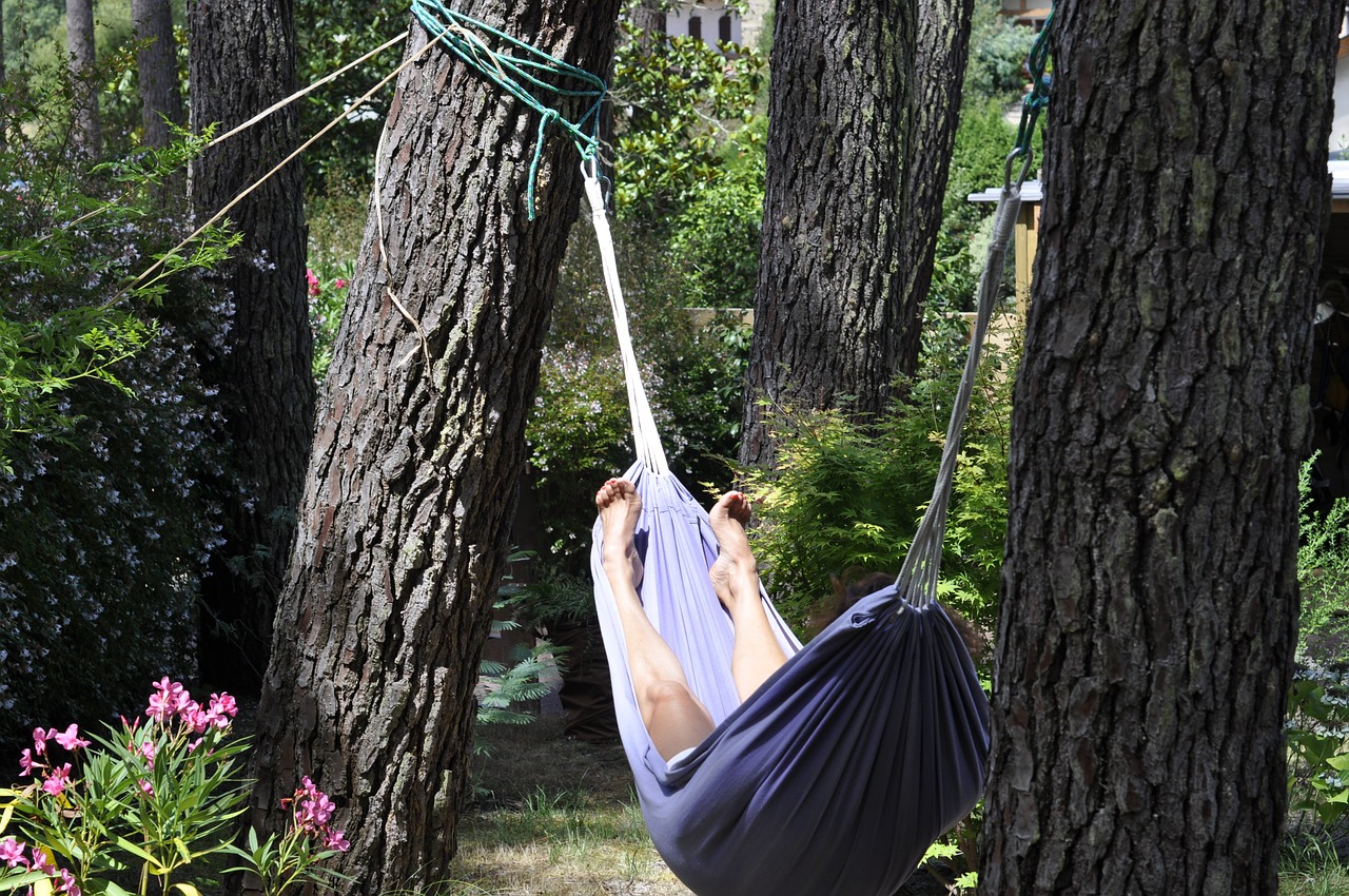 nap hammock idleness free photo