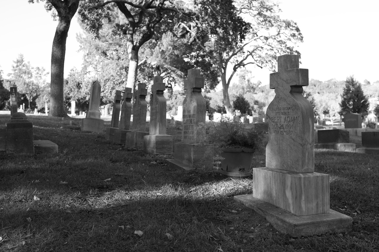 napa cemetery cross free photo